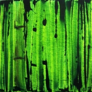 caroline mars asian elements Histor painting